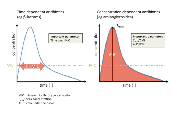 Azithromycin concentration dependent killing antibiotics Azithromycin concentration dependent killing antibiotics