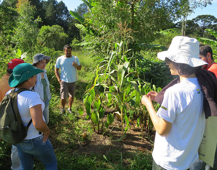 Agroecology training in Colombia.