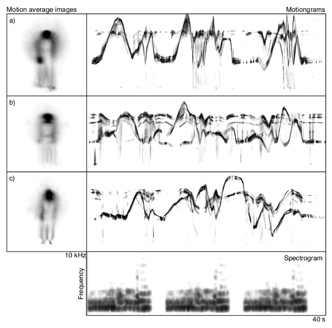 Motion average items and motiongrams of Dancers.