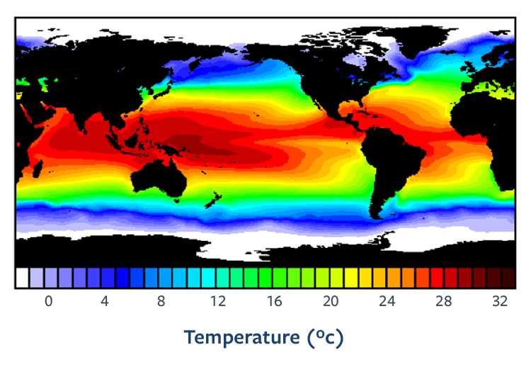Global ocean temperature map displaying sea surface temperatures in degrees Celsius. The color gradient ranges from dark blue (cold, near 0°C) in polar regions to dark red (warm, above 28°C) near the equator. Warm waters dominate the central Pacific, Atlantic, and Indian Oceans, while cooler waters are found near the poles and along some coastal regions. Black areas represent landmasses.