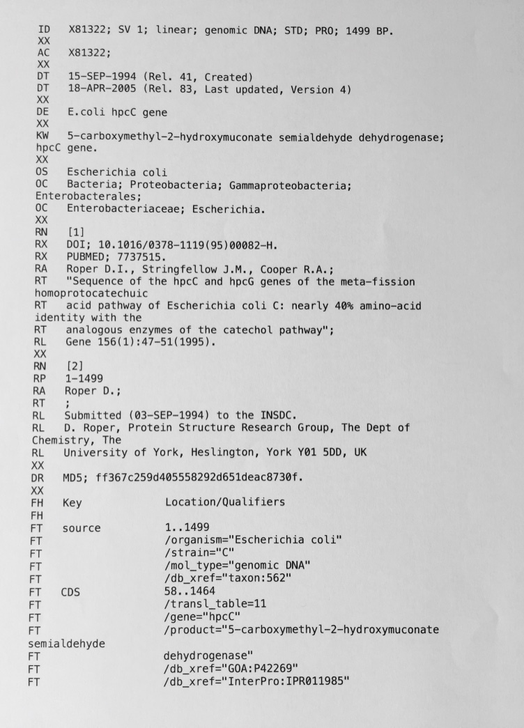 the genbank file format