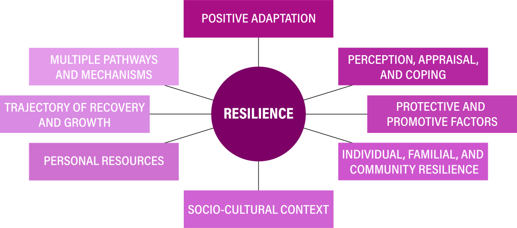 The word 'resilience' is surrounded by multiple pathways to resilience, such as positive adaptation, perception, appraisal and coping, individual, familial, and community resilience, and multiple pathways and mechanisms