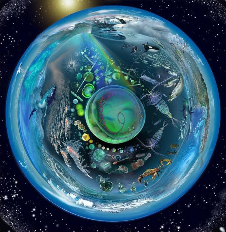 Glynn Gorick Globe illustration of all interacting biomes and systems on Earth and representative species that live in them