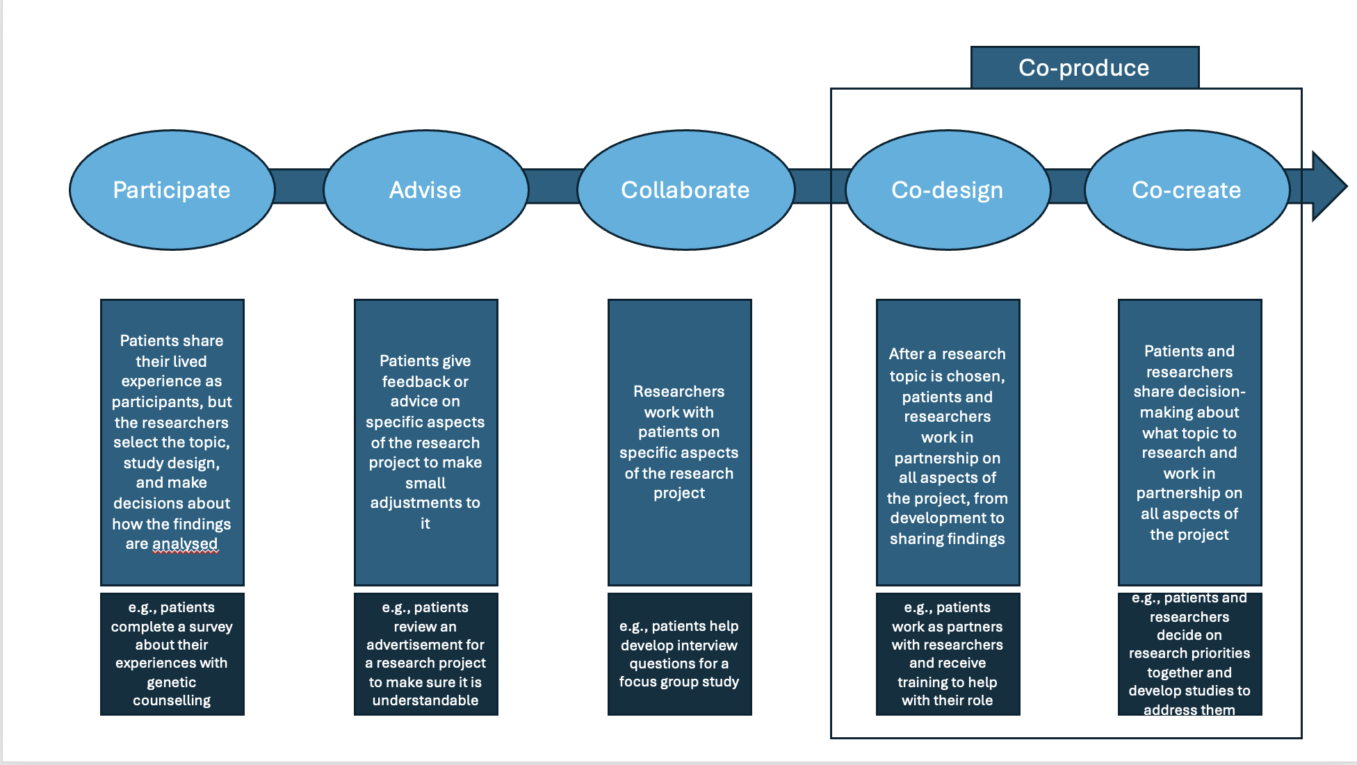 spectrum of participation diagram