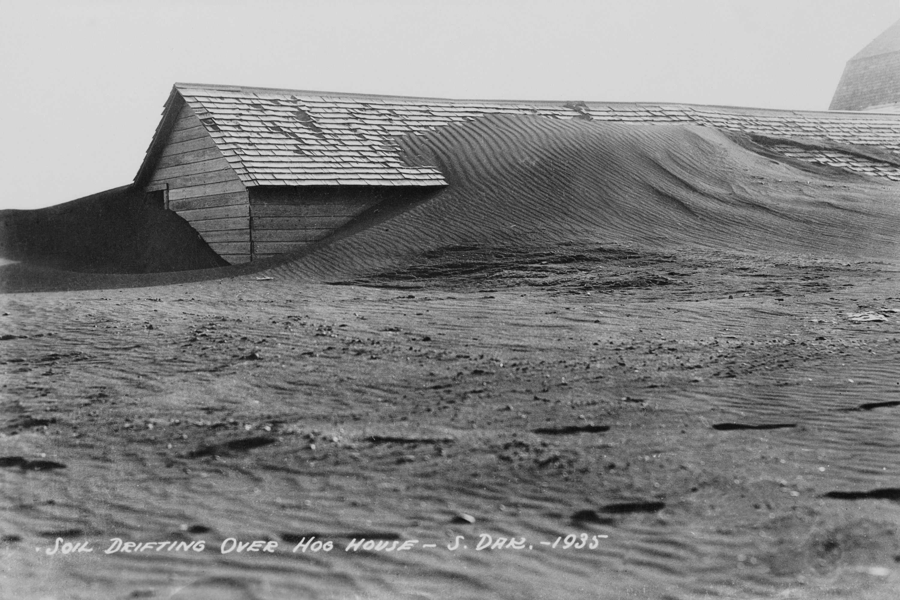 A black and white photograph of a wooden building mostly covered by dry dust. A handwritten caption on the photograph reads "SOIL DRIFTING OVER HOG HOUSE- S. DAK.-1935