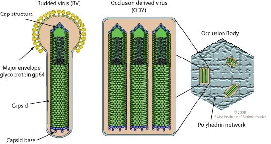diagram illustrating text below