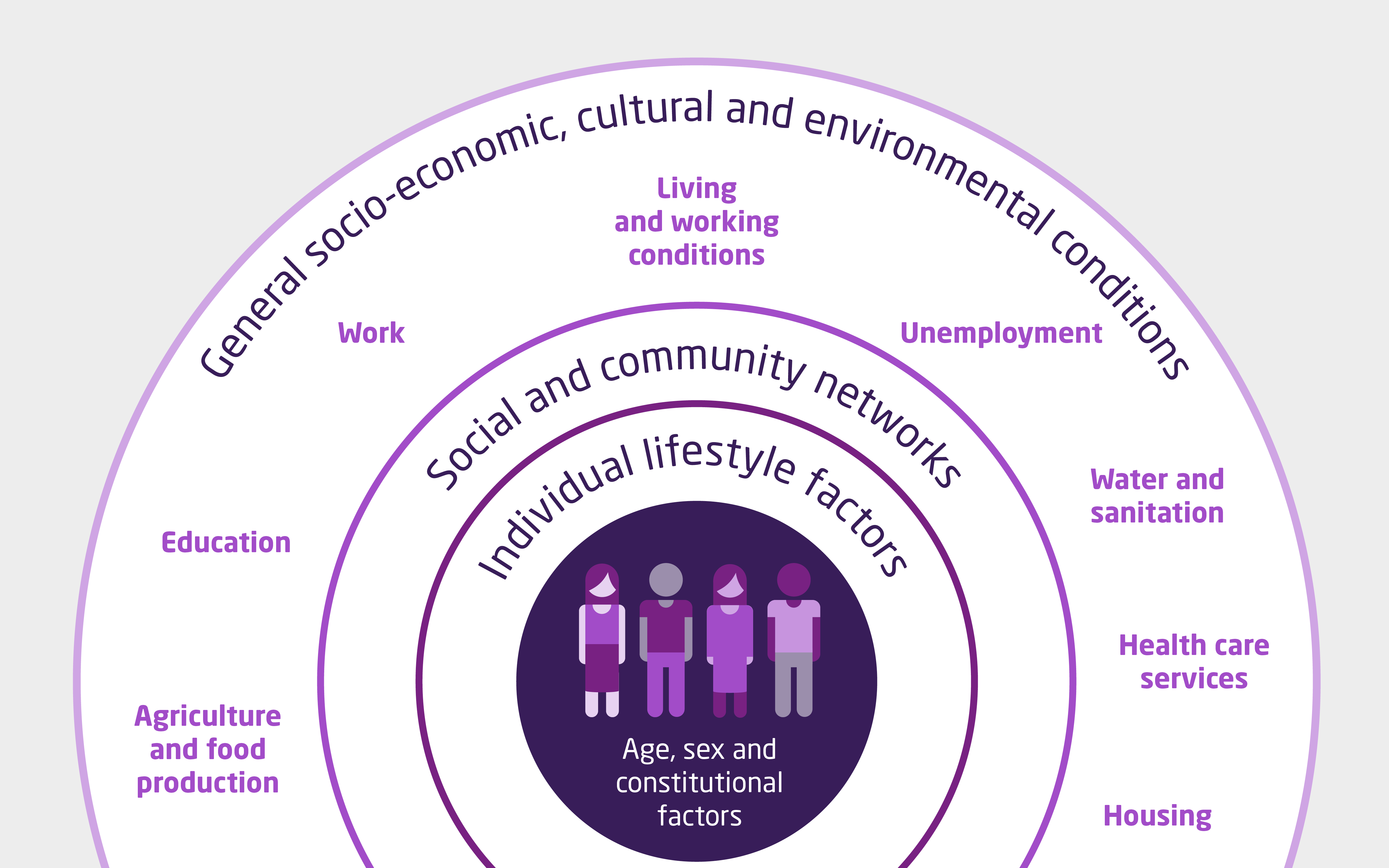Diagram illustrating how age, sex and constitutional factors, individual lifestyle factors, social and community networks and general socio-economic, cultural and environmental conditions impact on health.
