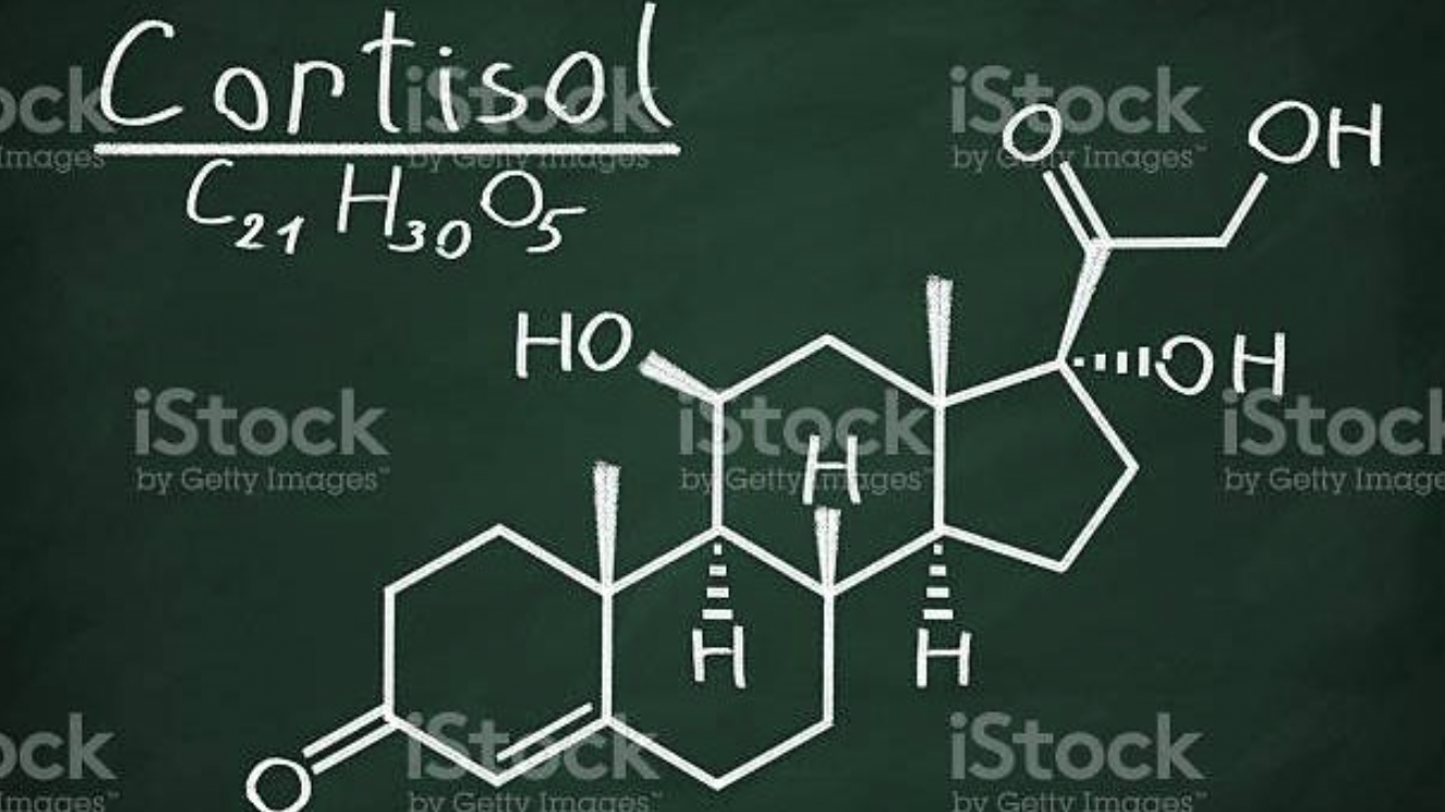 a drawing on a chalkboard of the chemical structure of cortisol