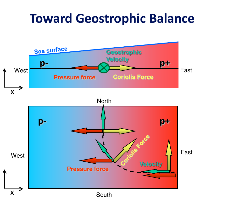 Figure 1: A parcel turned into geostrophic balance