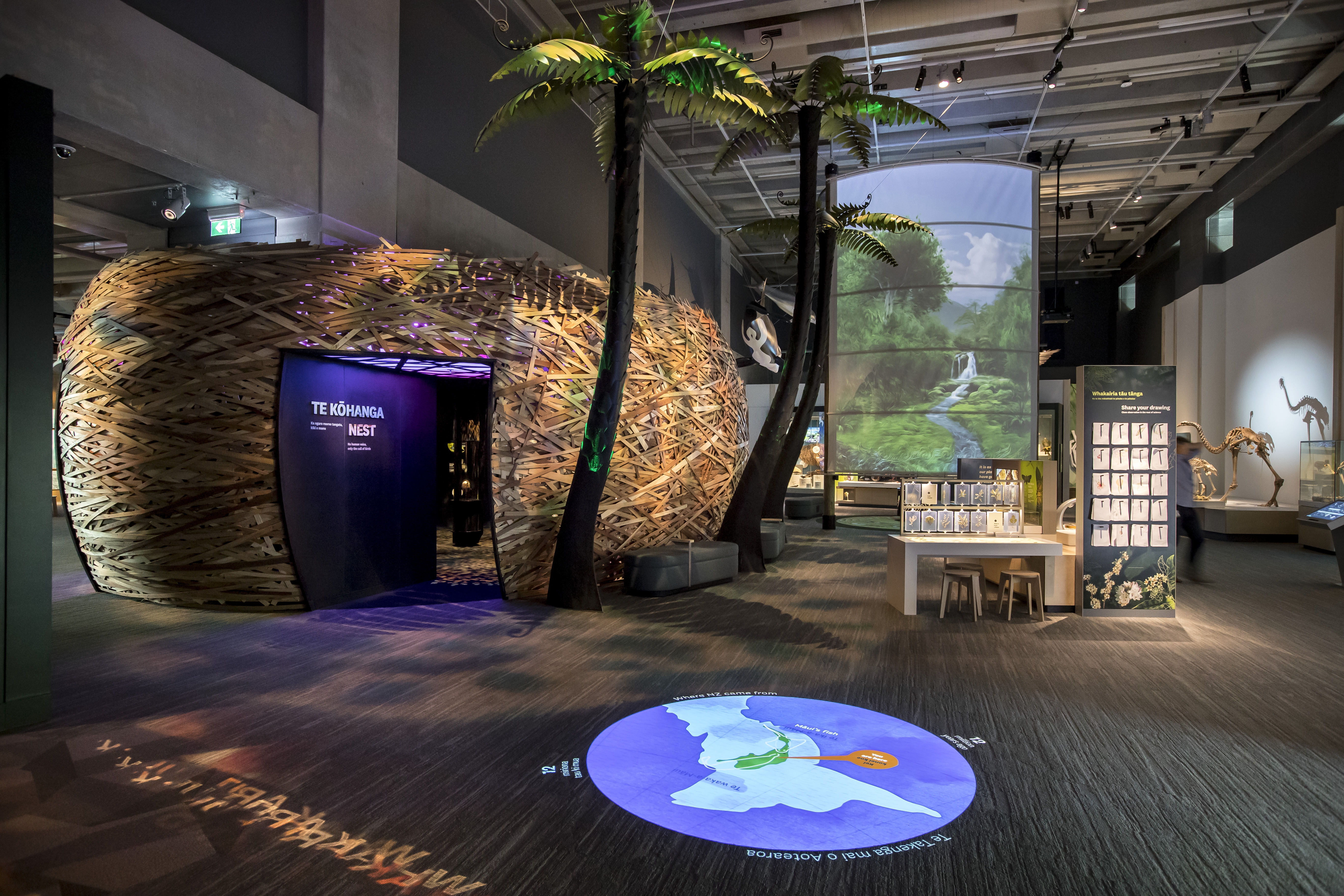 The Te Taiao zone at Te Papa, with a moving projection of continental shift on the ground, and a large model of a birds nest you can walk inside of, bordered by two tall native tree models