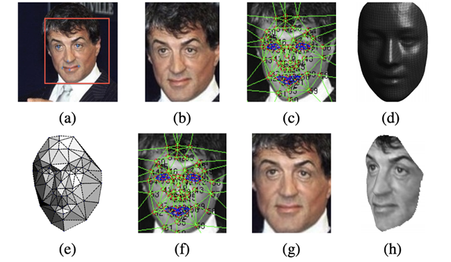 Sylvester Stallone 3D建模过程示例