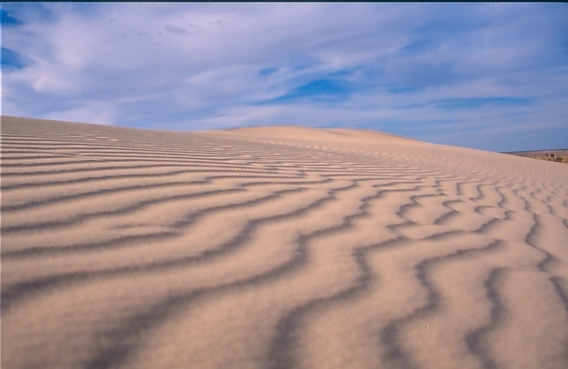Dunes of Lake Mungo