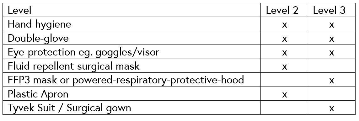 Table outlining different levels of PPE