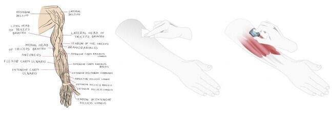 Showing an example of where you can place an EMG on the arm.