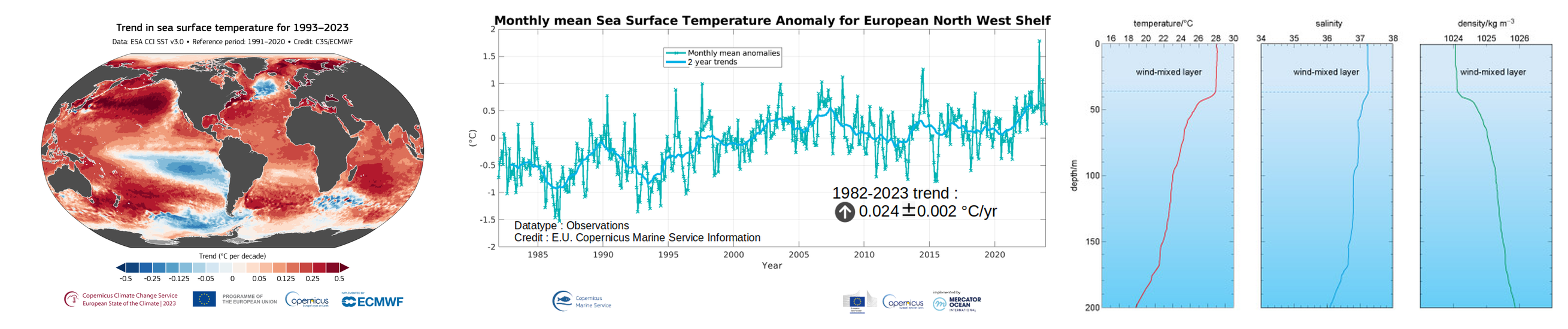 Figure 1: Maps, time series, and profiles