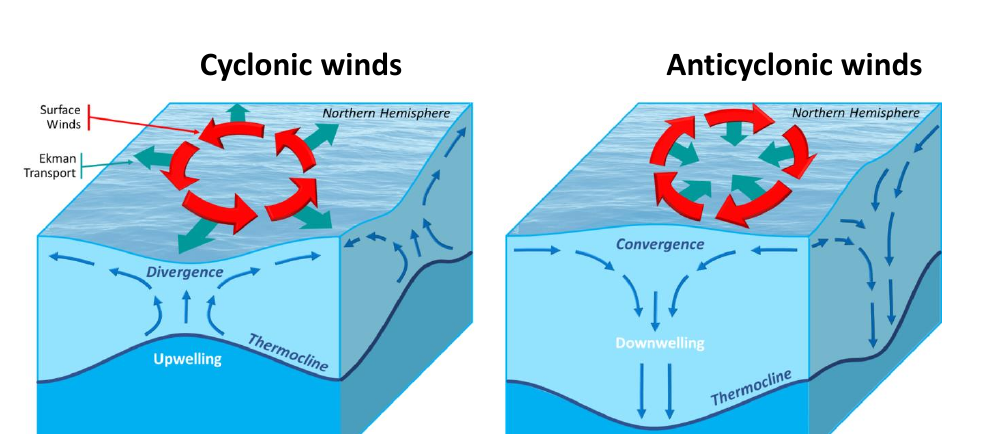 Figure 4: Ekman pumping