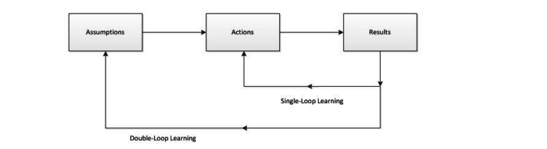 Double loop learning
