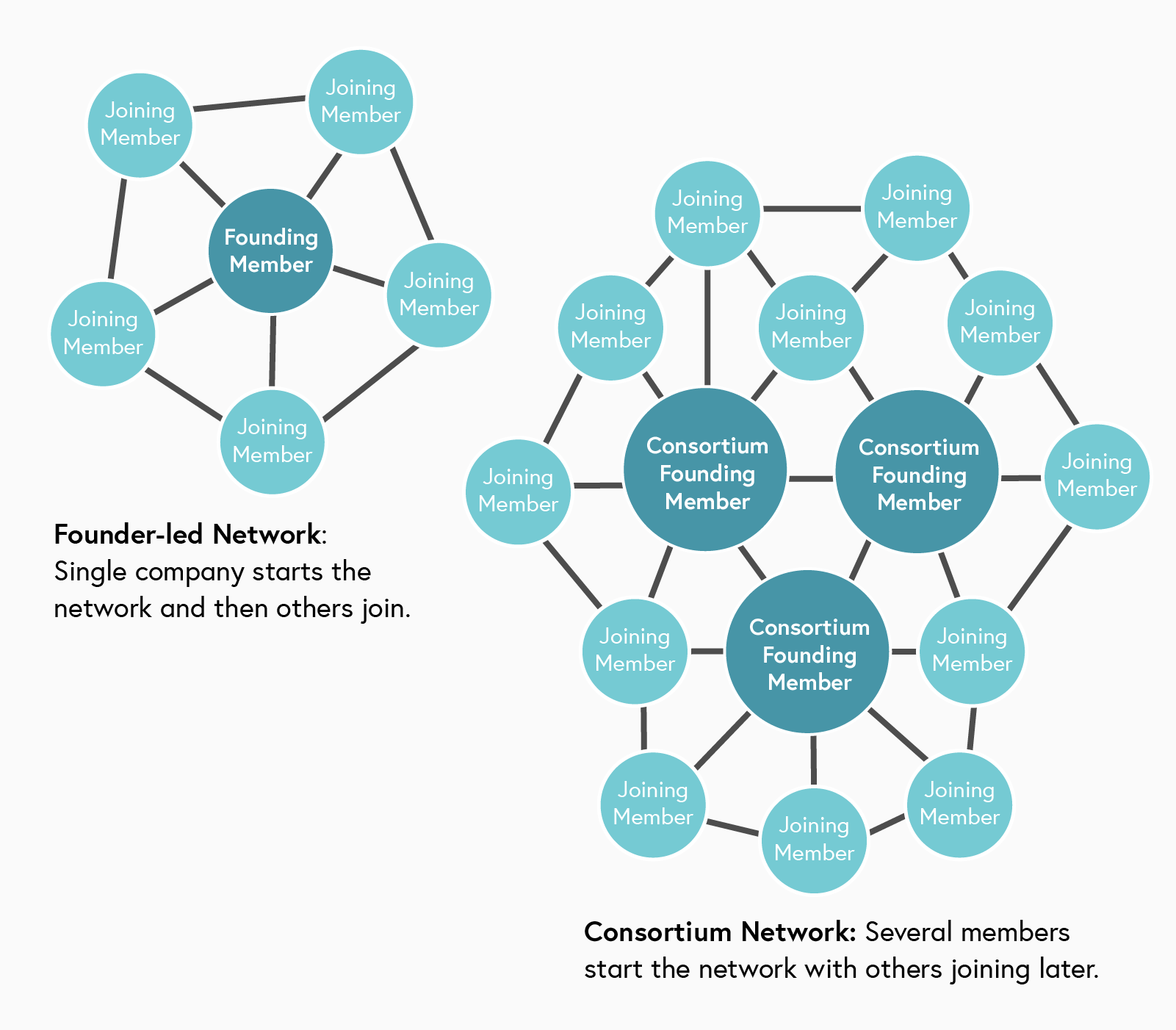 A diagram to illustrate a founder-led network and a consortium network. In a founder-led network, a single company or founding member starts the network and then others join. In a consortium network, several members start the network together with others joining later.