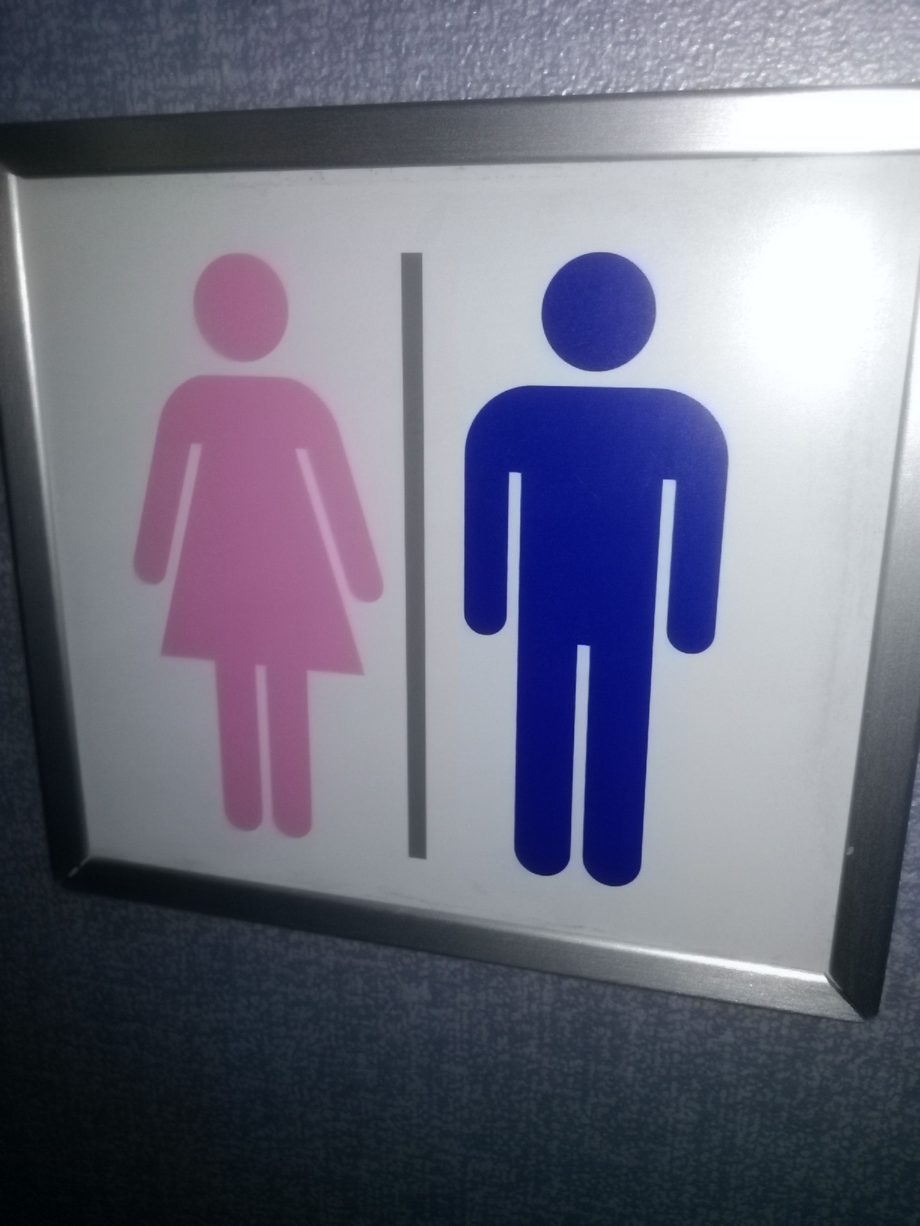 Picture of a toilet sign from which shows the female character in pink and the male in blue.