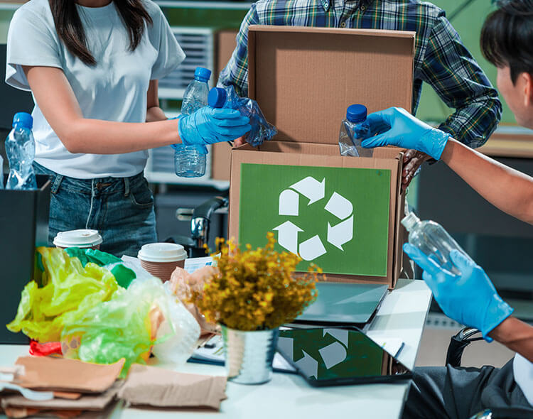 Office employees recycling plastic bottles together.