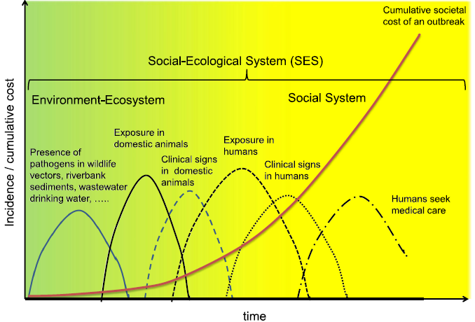 Figure 1 A schematic showing the relationship of time to detection and cumulative cost of control. The solid red line represents the cumulative social cost of an outbreak. The solid and broken lines represent the emergence of the pathogen over time in different sectors: environment/wildlife, domestic animals and humans. The earlier the pathogen is detected, the lower the overall cumulative cost.