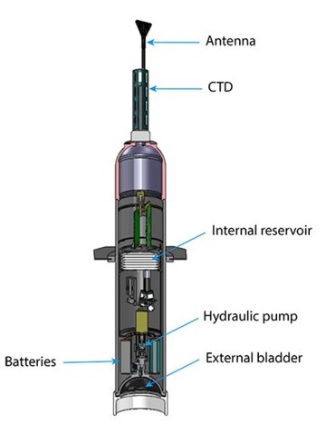 Figure 2: Argo floats and profiling observations