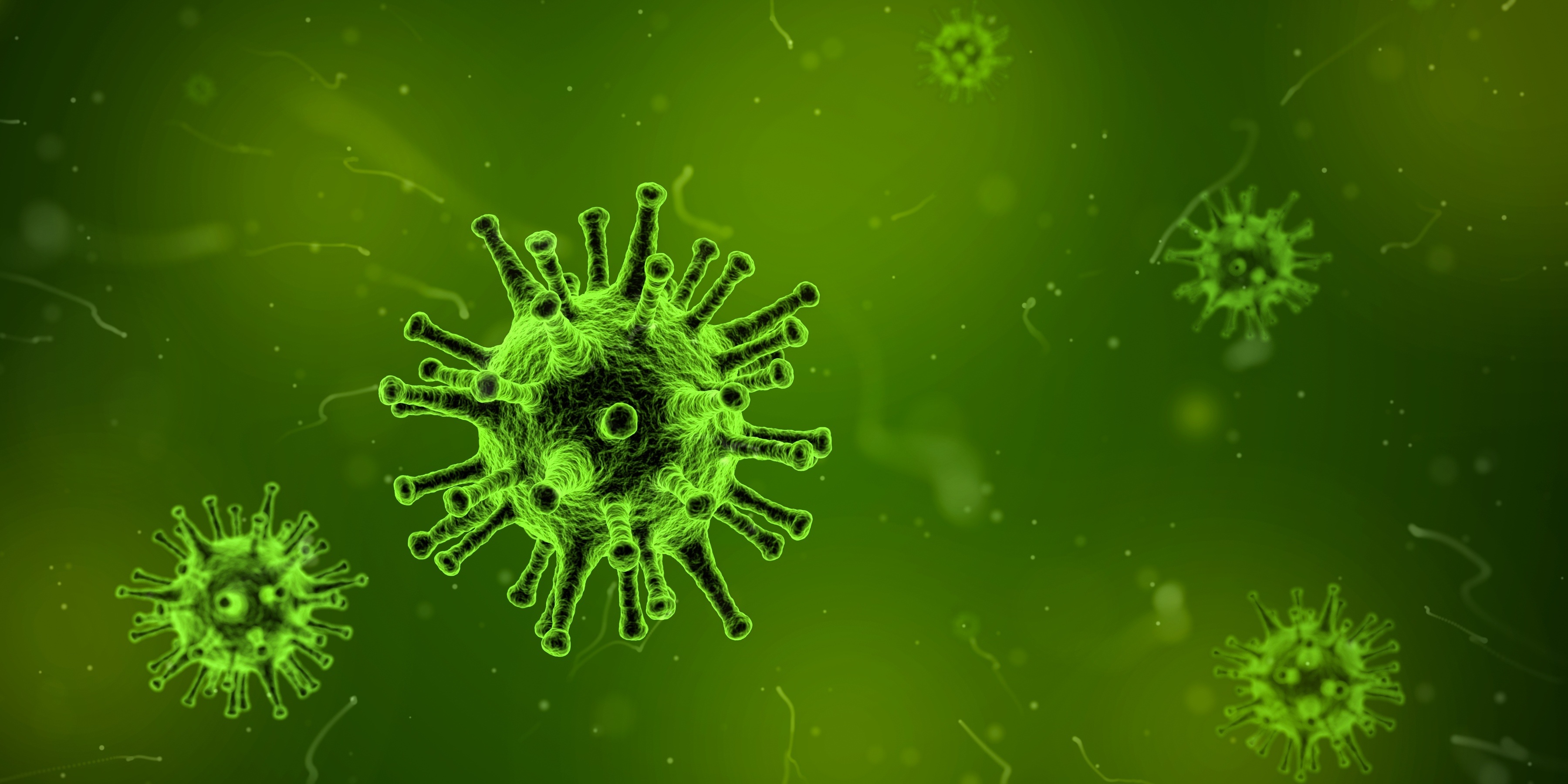 A spherical virus green particle, with many trunk-like appendages sticking out from the main spherical body.