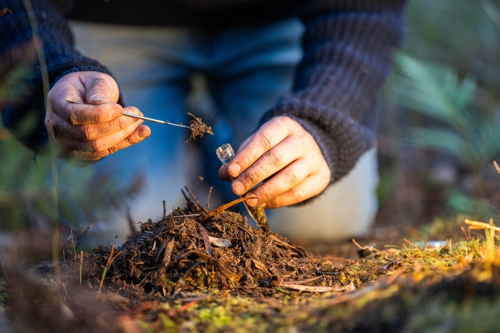 scientist researcher studying soil and forest health effects from climate change. university student research on bush soil structure and biology diversity. holding a soil sample in hand