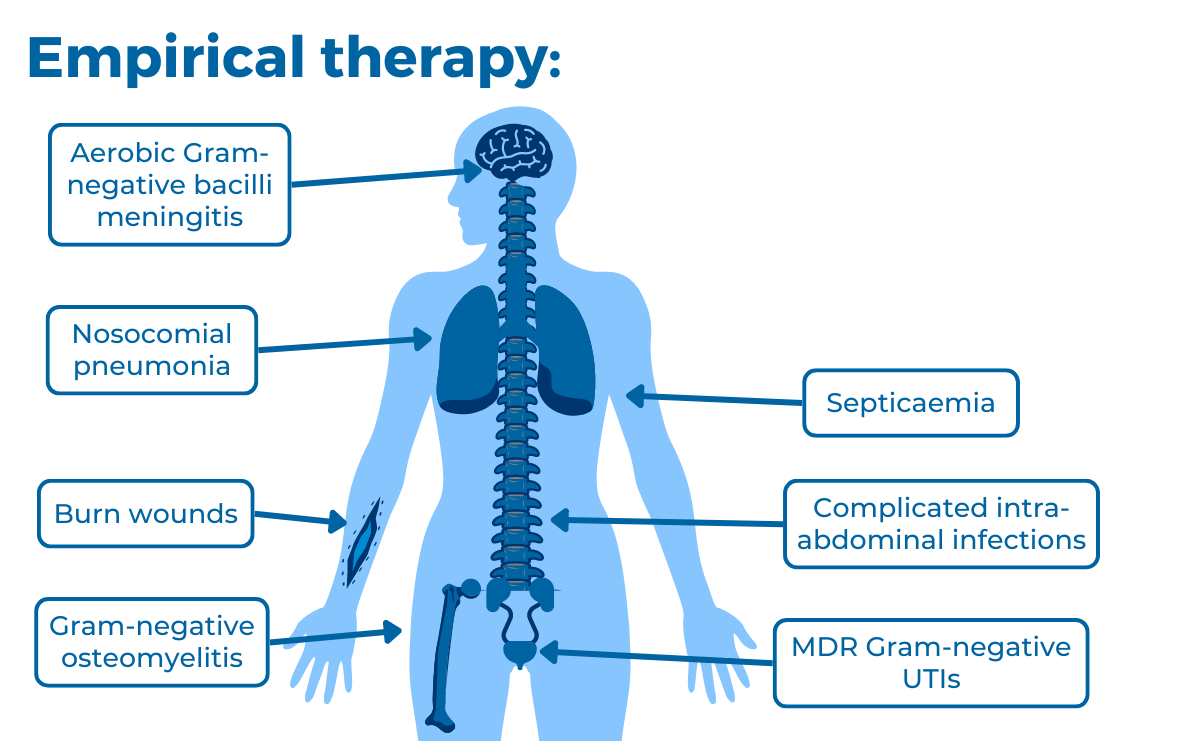 Image of the human body pointing to the different locations that empirical therapy can be used and a table with the administration routes for adults and newborns.