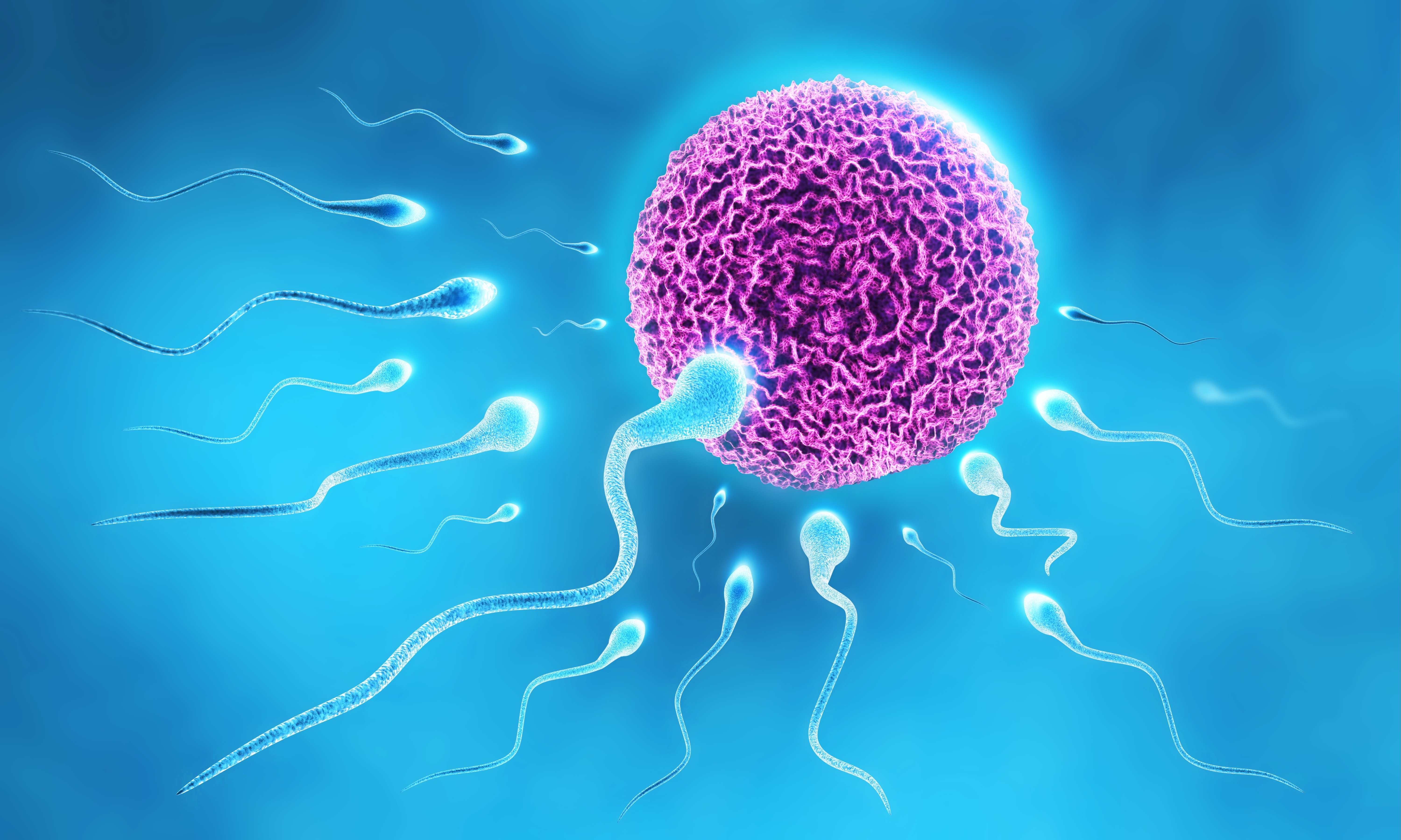 Illustration of fertility