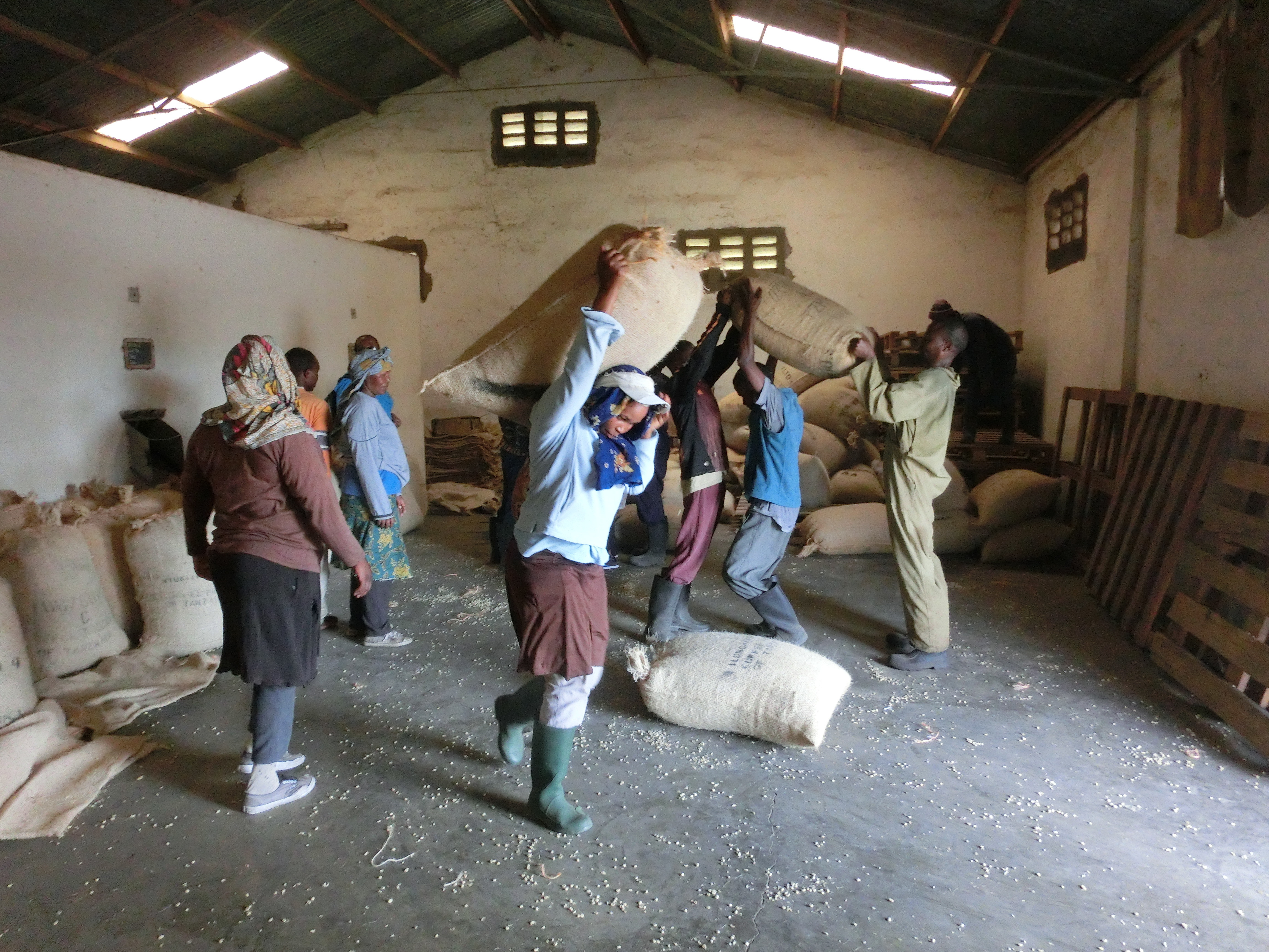 Young woman carrying a 50 kg coffee sack on her shoulder