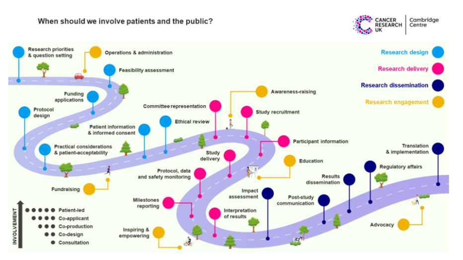CRUK road map illustration of patients involvement and engagement in research