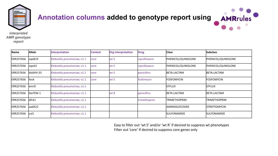 AMRrules – Open source rules for interpreting AMR data