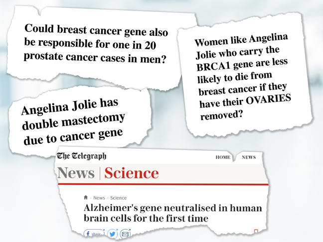 Cancer Gene Twice As Likely To Be >> We All Have The Breast Cancer Gene Cancer Gene Twice As Likely To Be >> We All Have The Breast Cancer Gene