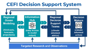 Figure: Forecast information flow from observations to operational decision support