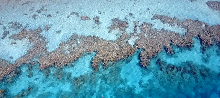 Aerial view of a fringing coral reef in the Red Sea. Aerial view of a coral reef in the Red Sea.