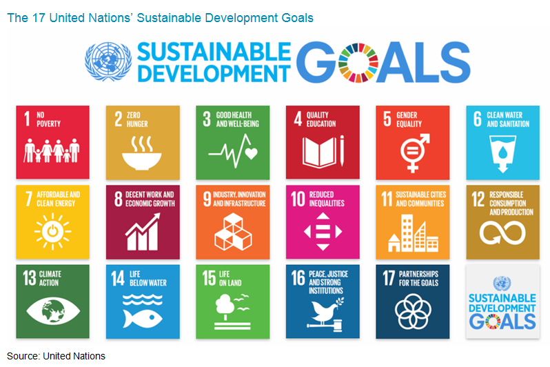 Sustainable Development Goals (SDGs) Sustainable Development Goals (SDGs)