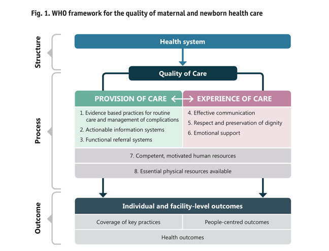 The WHO framework