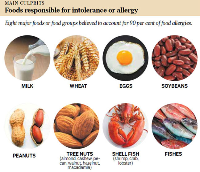 Foods responsible for intolerance or allergy