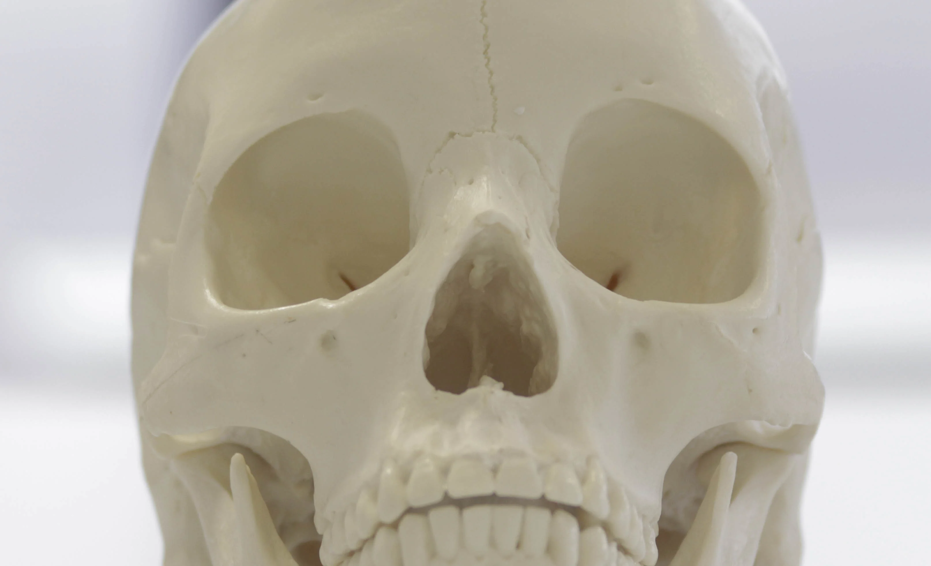 How do you identify the sex of a skull?