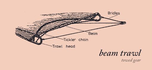 Improving fishing techniques