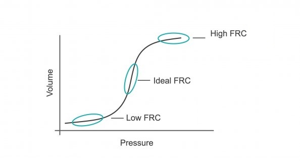 Lung pressure-volume graph