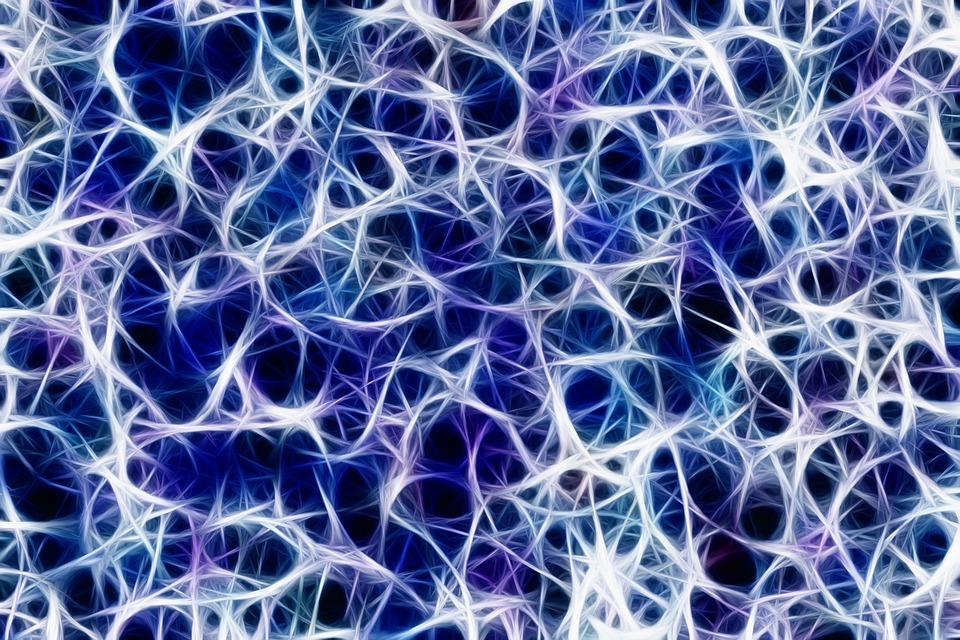Depiction of a network of nerve fibres.