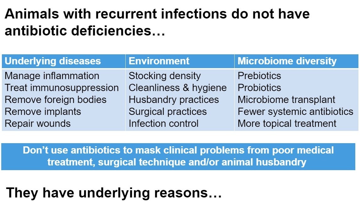 Some examples of how recurrent infections can come from underlying reasons.
