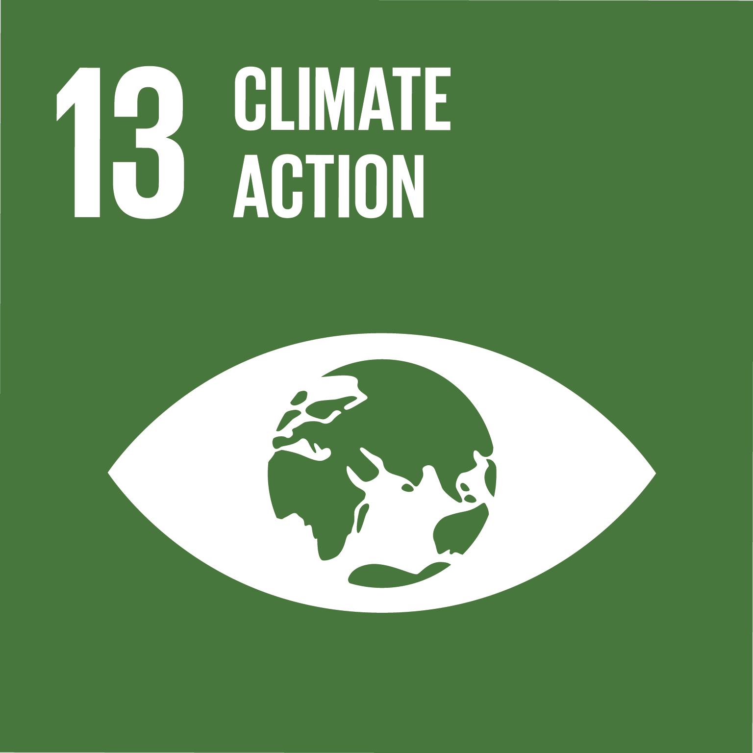 Icon of an eye with a world instead of a pupil with the title "Climate action"