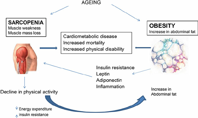 endocrine changes