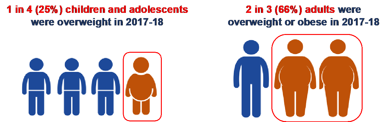 1 in 4 (25%) children and adolescents were overweight in 2017-18. 2 in 3 (66%) adults were overweight or obese in 2017-18.