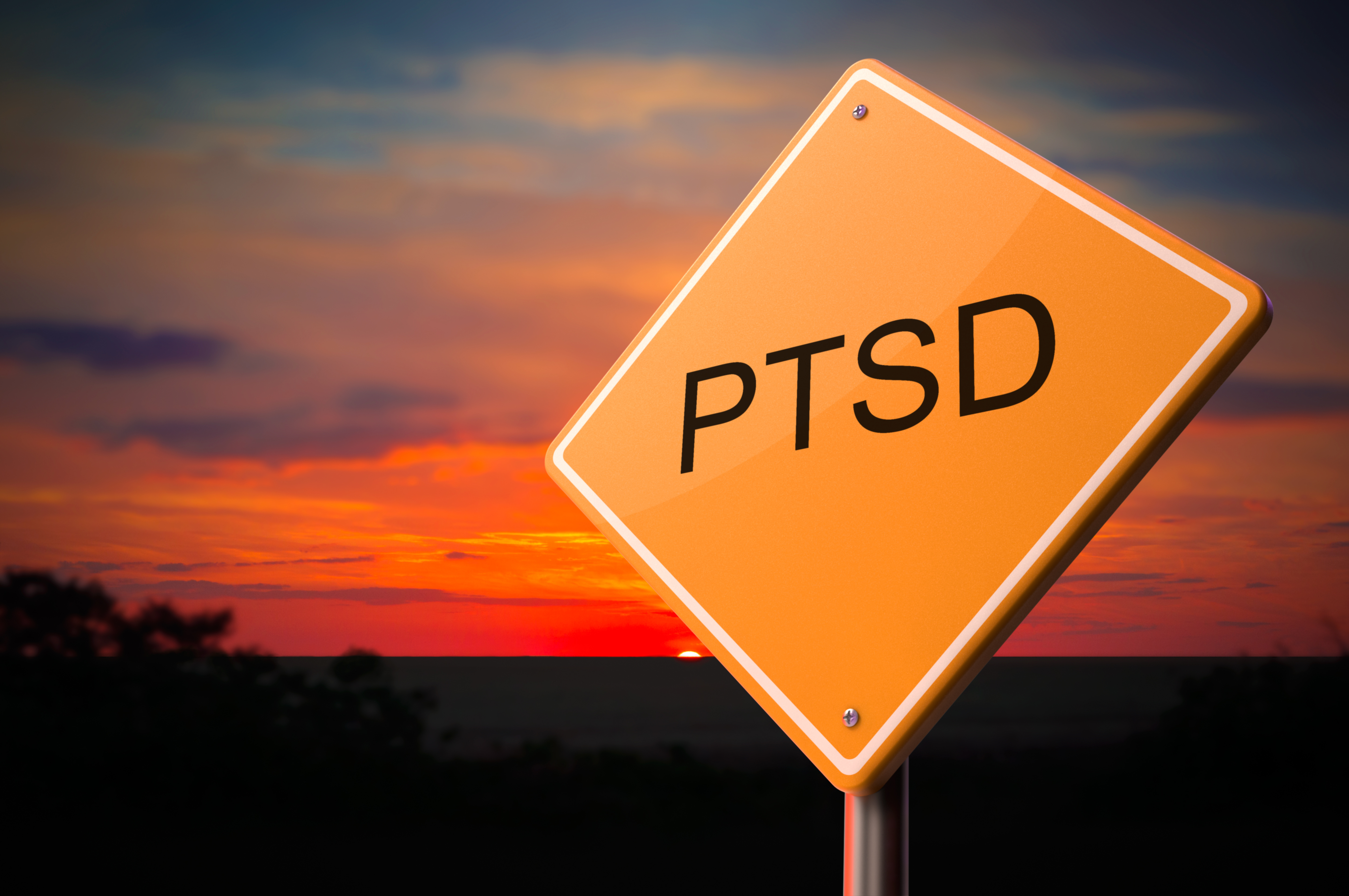 A sign with the letters PTSD