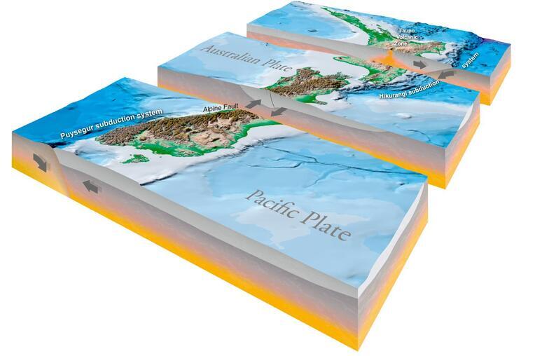 Diagram showing the movement of the tectonic plates along the curved boundary through the length of New Zealand. The Australian plate on the left pushes over the North Island, while the Pacific plate on the right pushes over the South Island