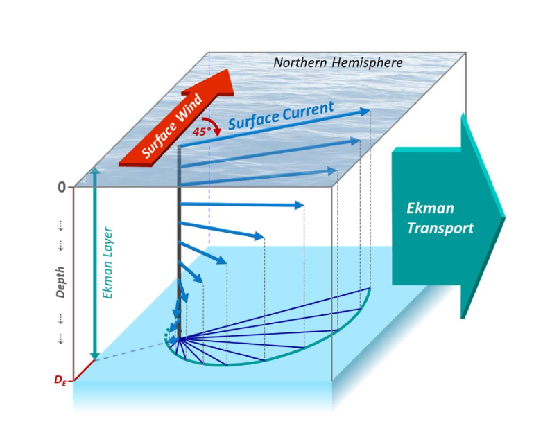 Figure 1: The Ekman spiral